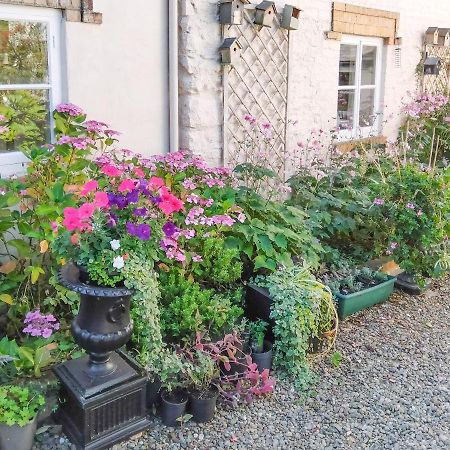 The Tower Cottage Llangollen Zewnętrze zdjęcie