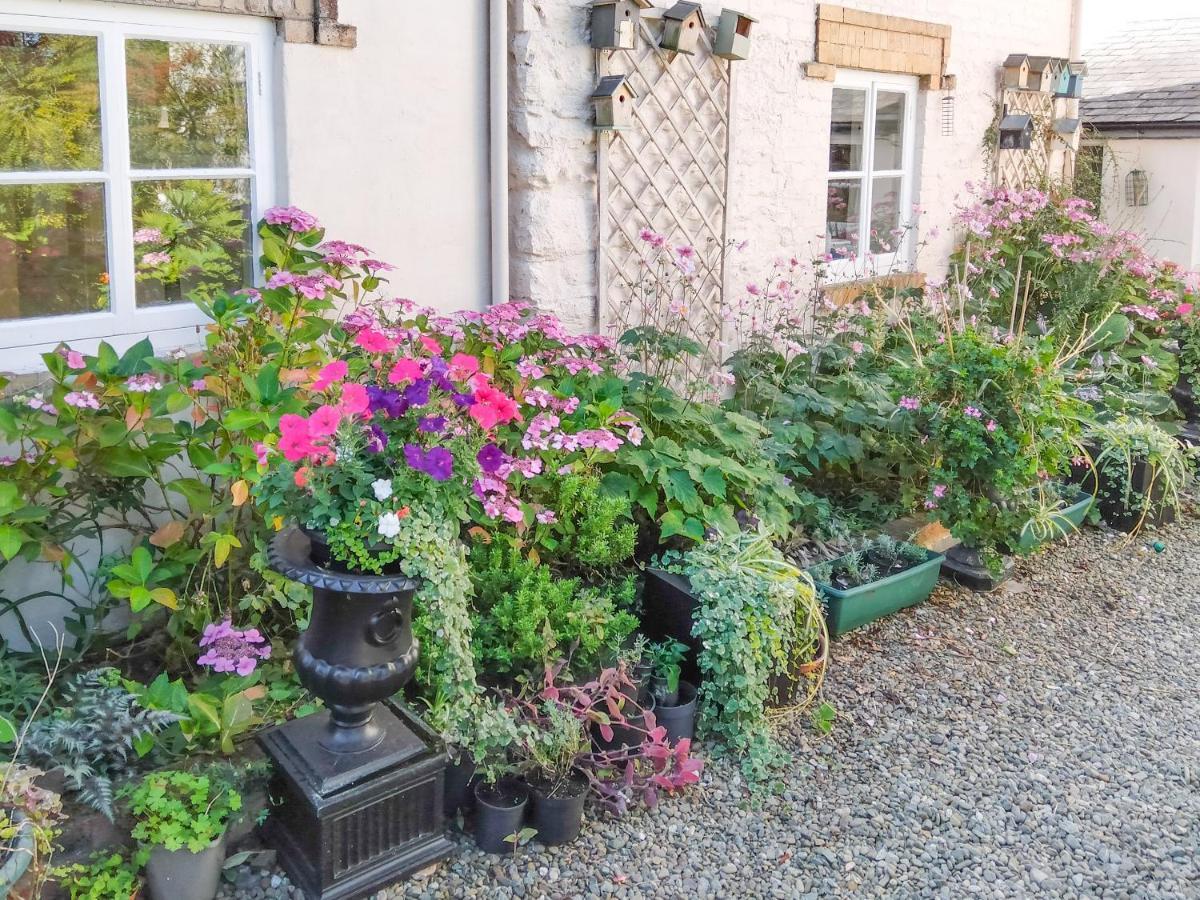 The Tower Cottage Llangollen Zewnętrze zdjęcie